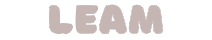 LEAM logo