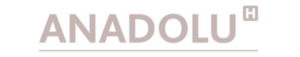 anadolu logo